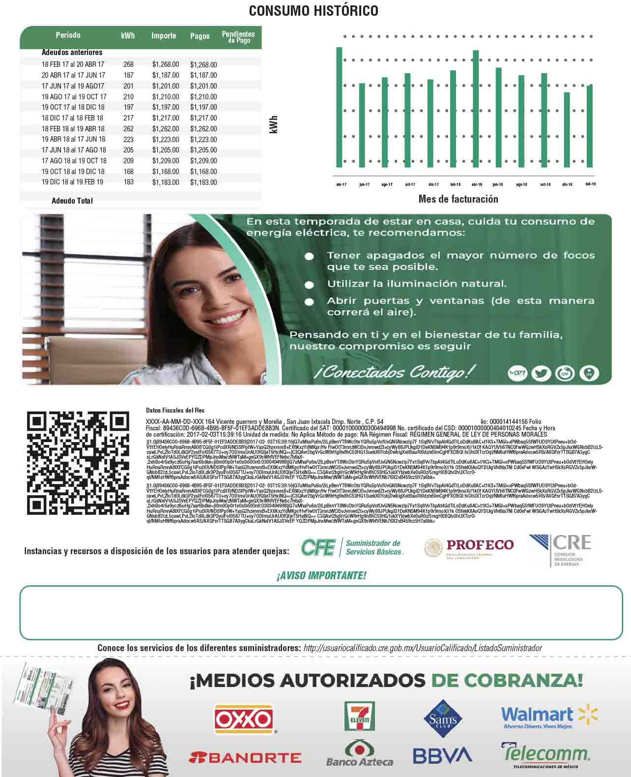 Reverso del ejemplo de CFE, con tabla y gráfica del consumo histórico entre 2017 y 2019.